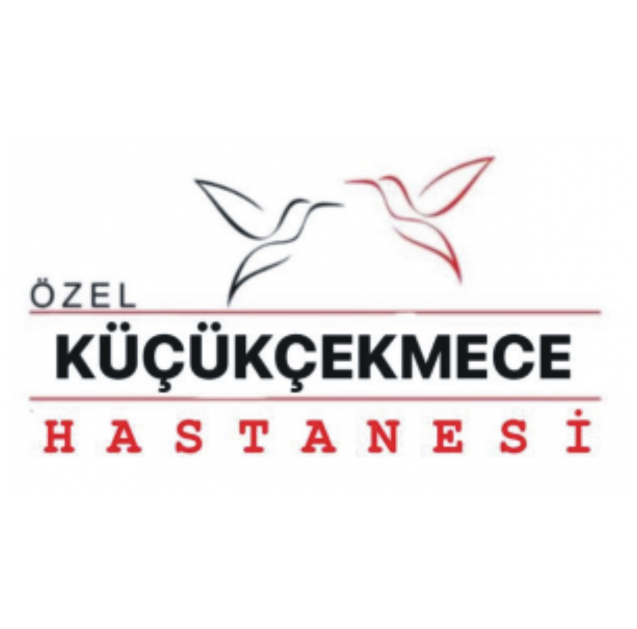 ÖZEL KÜÇÜKÇEKMECE HASTANESİ